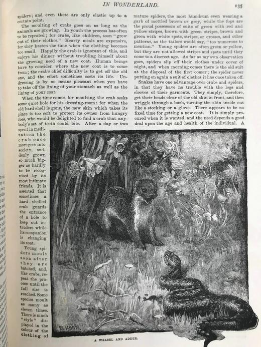 1896年 家庭箴言杂志 约百幅插图 漆布精装16开 商品图12