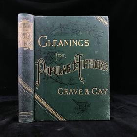 约19世纪后期 流行作家拾遗（卷2） 约百幅插图 漆布精装16开