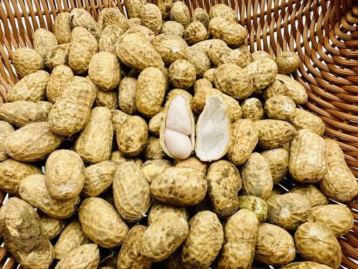 自产/有机种植花生 带壳干花生 商品图1