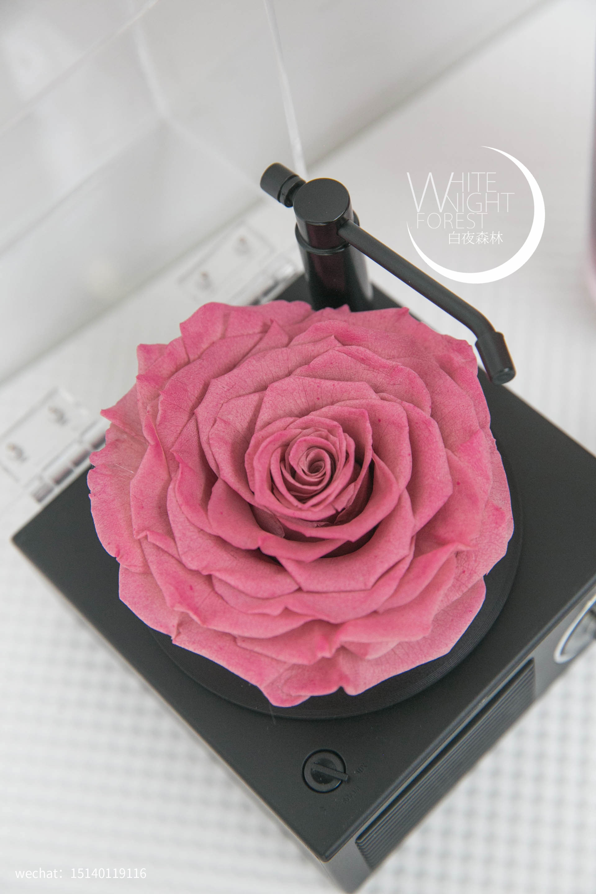 巨型玫瑰永生花蓝牙留声机