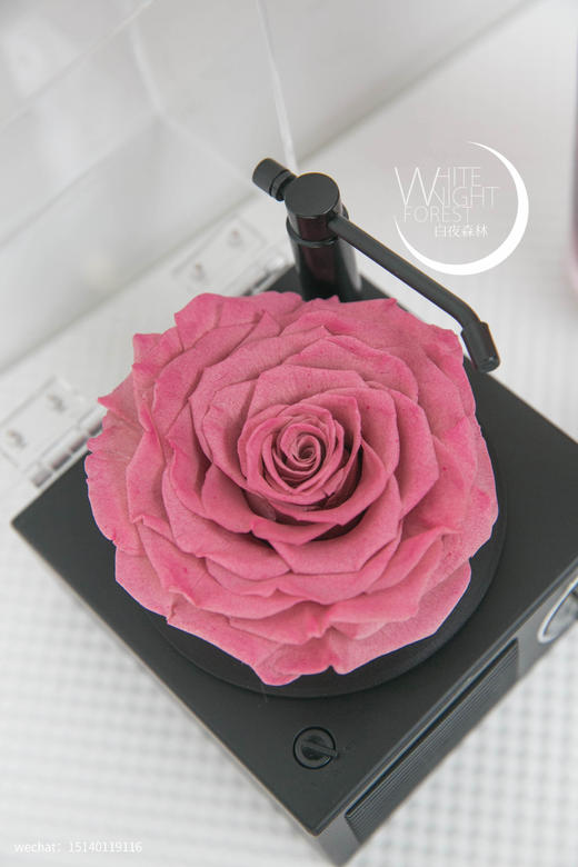 巨型玫瑰永生花蓝牙留声机 商品图0