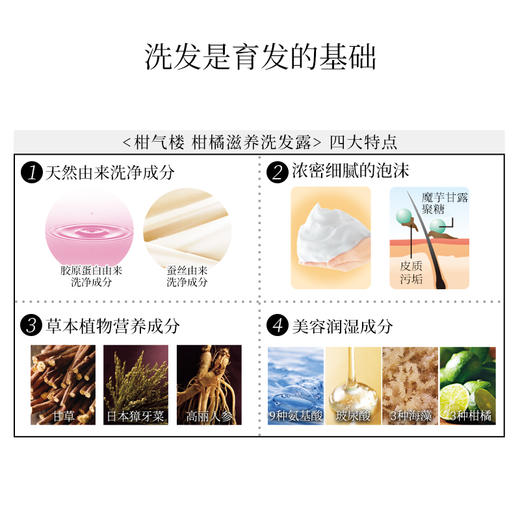 柑气楼 柑橘滋养 无硅油控油洗发露 725g 商品图2