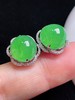 497142 翡翠18K老坑阳绿蛋面耳钉  饱满细腻，款式精美 裸石尺寸：9.4/10.2mm（含金厚） 超值价💰8580 商品缩略图4