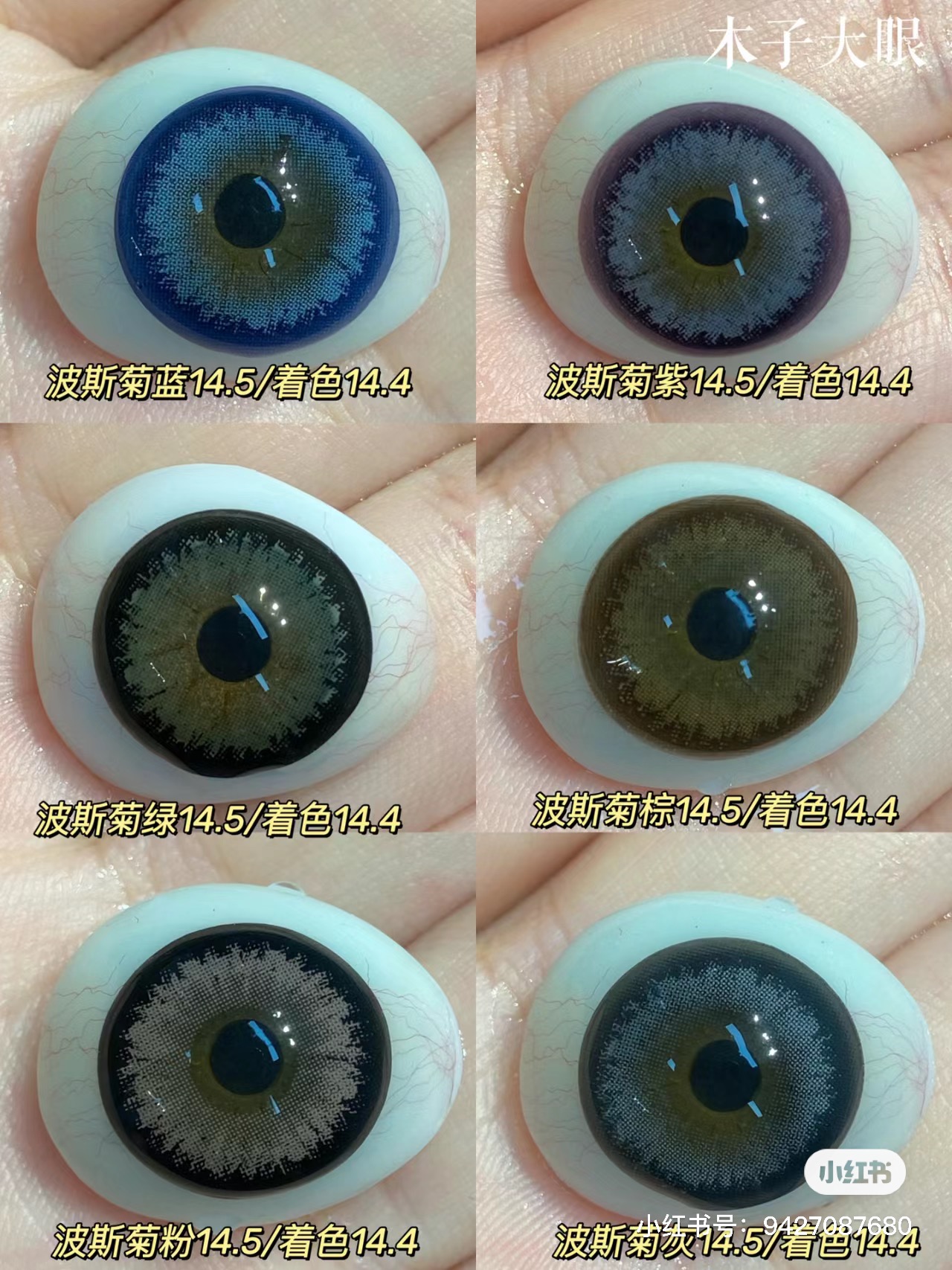 【本店实拍】波斯菊系列-紫色 棕色 蓝色 灰色 粉色14.5mm 【年抛 度数0-1000度 无525/575 】