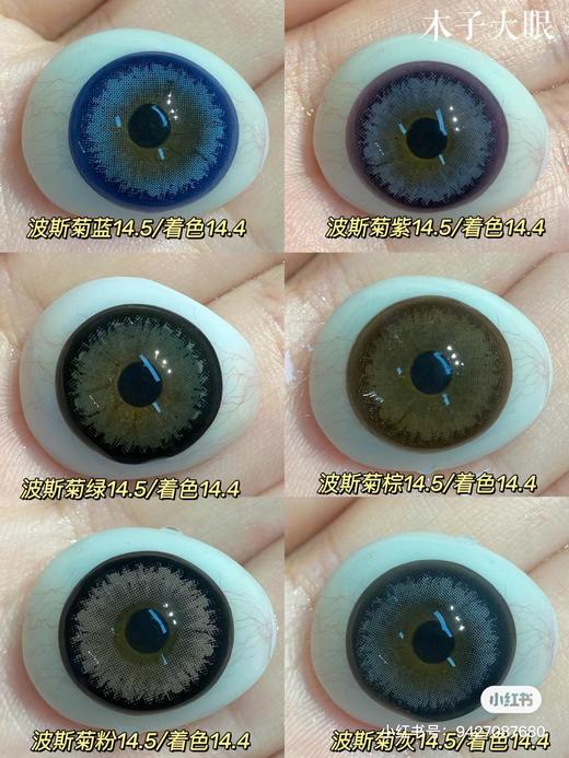 【本店实拍】波斯菊系列-紫色 棕色 蓝色 灰色 粉色14.5mm 【年抛 度数0-1000度 无525/575 】 商品图0