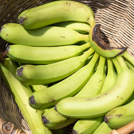 火山香蕉（涠洲岛产） 商品图0