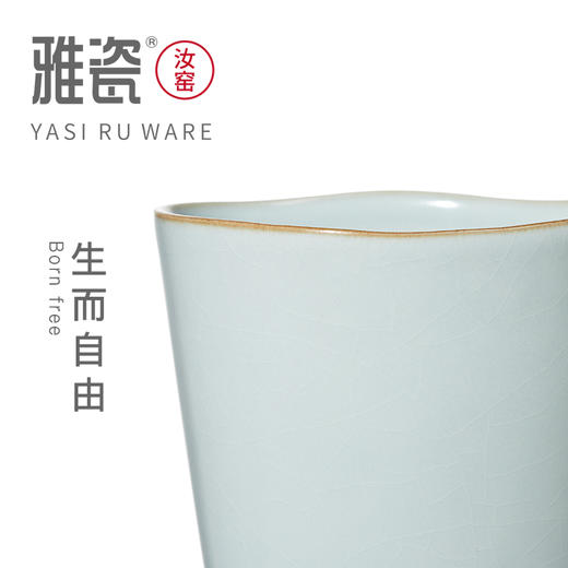 汝窑自由杯  办公杯 商品图1