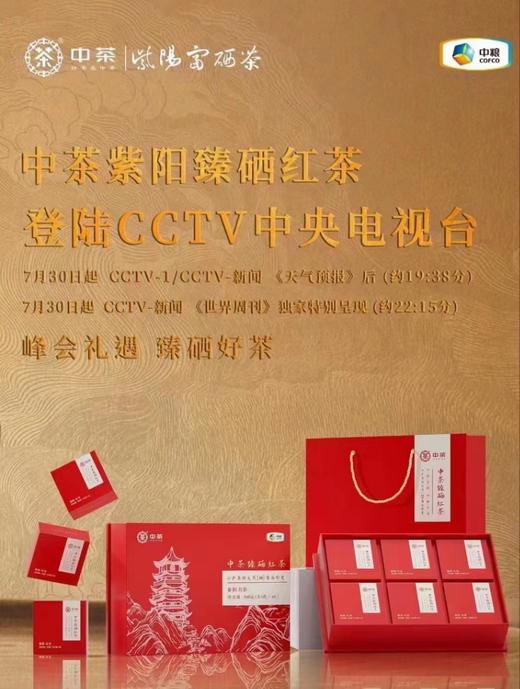 中茶臻硒红茶168g 商品图0