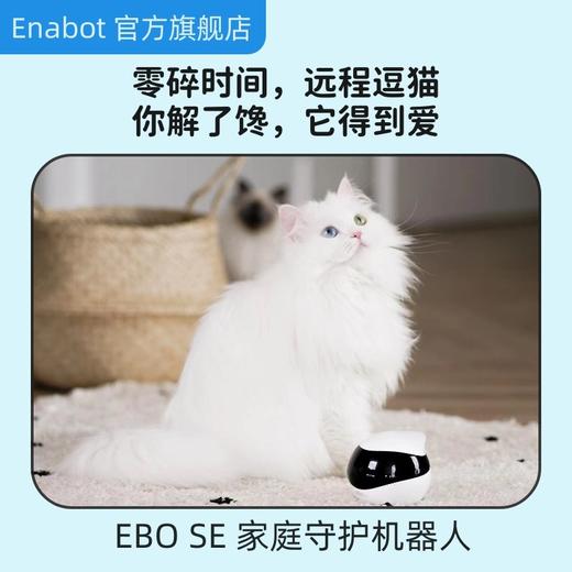 【满地跑摄像头(非质量问题不退换）】Enabot 一宝全屋移动无线监控器 ebo机器人 家用智能安防监控摄像头360度 网络摄像头手机wifi远程高清夜视可对话 商品图2