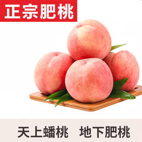 【限量特供】正宗泰安·肥城 水蜜桃 阳山1号水蜜桃 新鲜脆甜 现摘现发 新鲜到家