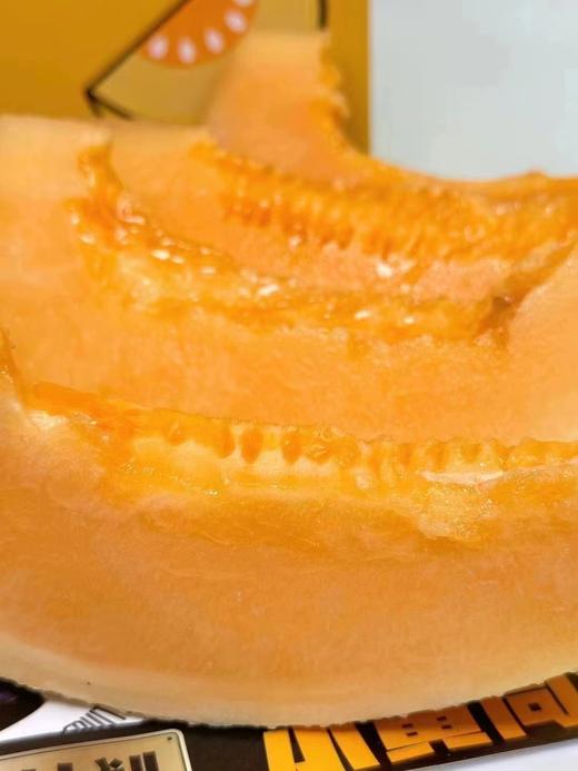 黄金密瓜一个（拼团） 商品图1