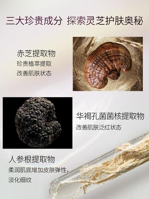 【248元会员福利】美伊娜多缔凡优化灵芝精华水130ml    商品图2