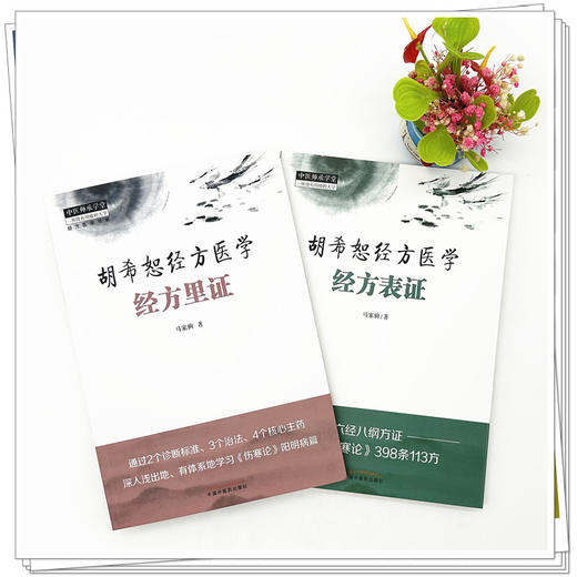 【全2册】胡希恕经方医学（经方里证+经方表证）马家驹 著 中国中医药出版社 中医师承学堂 临床 经方医学书系 书籍 商品图1