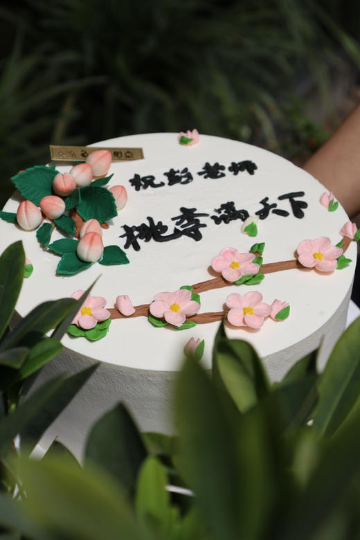 桃李满天下 商品图1