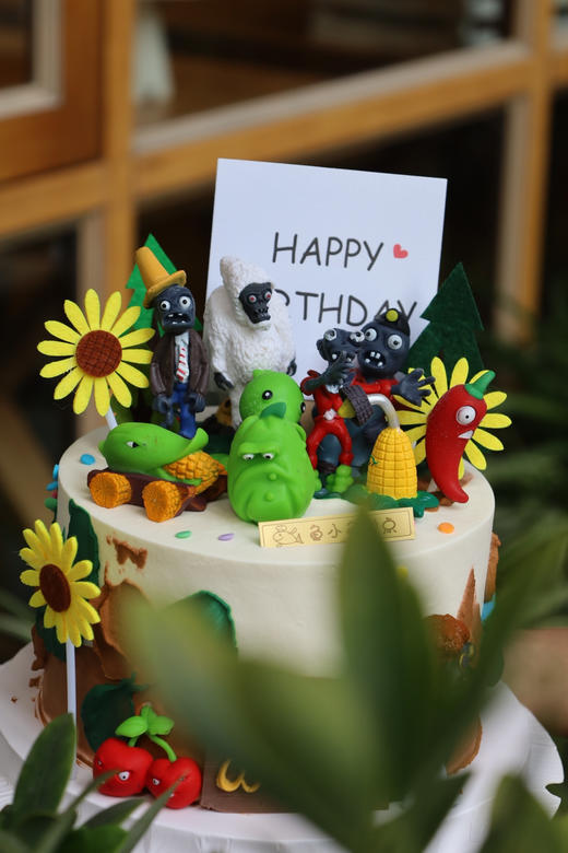 植物大战僵尸 商品图3