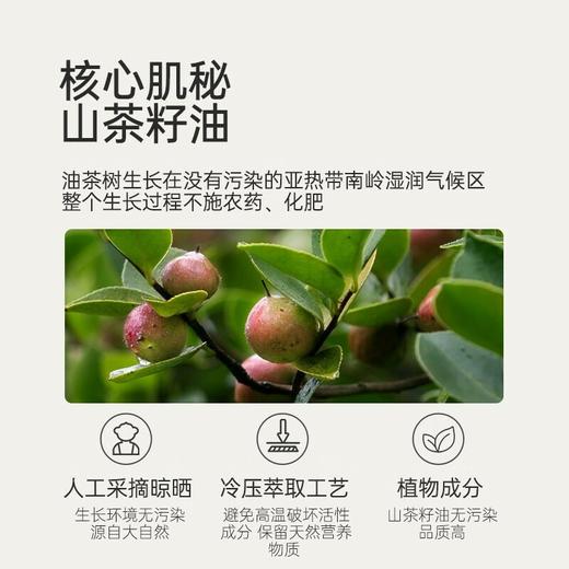 松达婴儿山茶油洗发沐浴露 商品图2