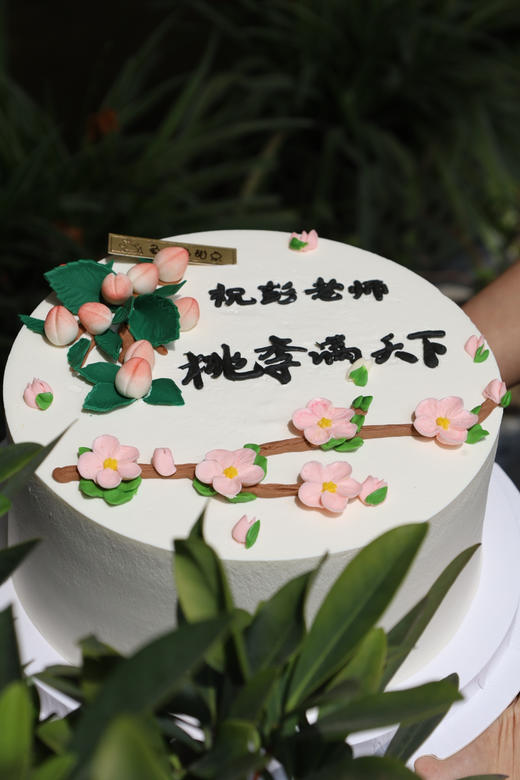 桃李满天下 商品图0