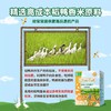 爷爷的农场稻鸭婴儿米饼原味紫薯海苔蔬菜水果磨牙棒宝宝零食YNC-940007/940021/940045/941899/941882 商品缩略图6