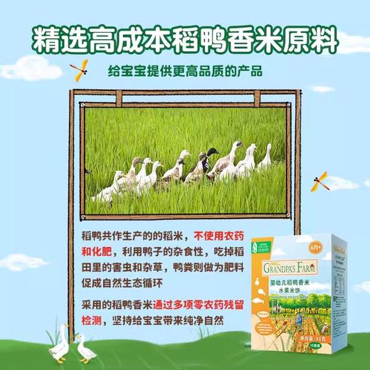 爷爷的农场稻鸭婴儿米饼原味紫薯海苔蔬菜水果磨牙棒宝宝零食YNC-940007/940021/940045/941899/941882 商品图6
