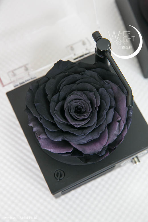 巨型玫瑰永生花蓝牙留声机 商品图3