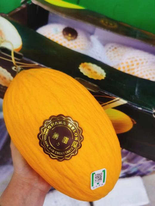 黄金密瓜一个（拼团） 商品图0