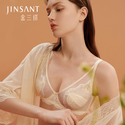 金三塔 女真丝蕾丝文胸NZFBD307 商品图0