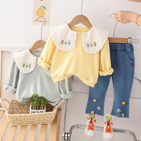 【小公主必备套装】时尚小花领子设计，外出更有气质，女宝宝秋装套装，0-1-2-3岁适用，萌呆可爱潮范十足-QQ