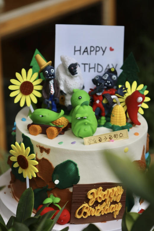 植物大战僵尸 商品图5