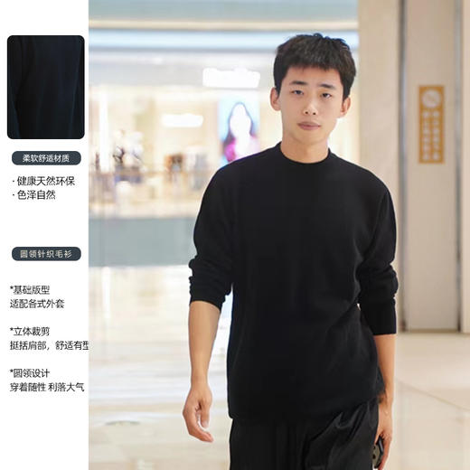 现货【清仓不退不换】臣禾男士圆领30%羊绒70%羊毛针织衫  H233090558 商品图0