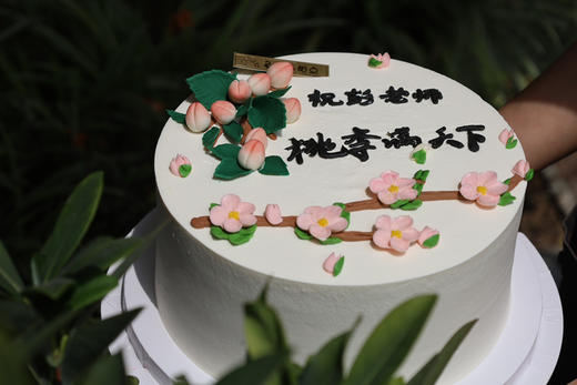 桃李满天下 商品图2