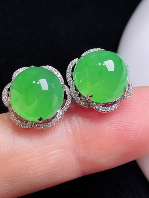 497142 翡翠18K老坑阳绿蛋面耳钉  饱满细腻，款式精美 裸石尺寸：9.4/10.2mm（含金厚） 超值价💰8580 商品图2