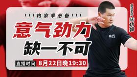 【8月22日】意、气、劲、力”内家拳必备