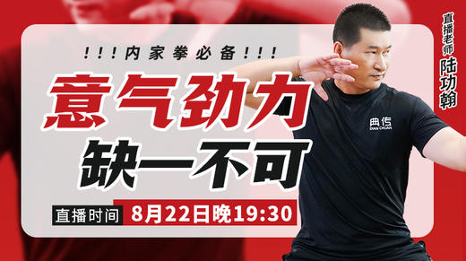 【8月22日】意、气、劲、力”内家拳必备 商品图0