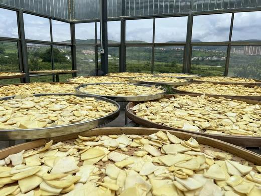 野生笋片 | 自然晾晒，晒干笋片 | 源自云南元江眷村，产地直发 商品图4