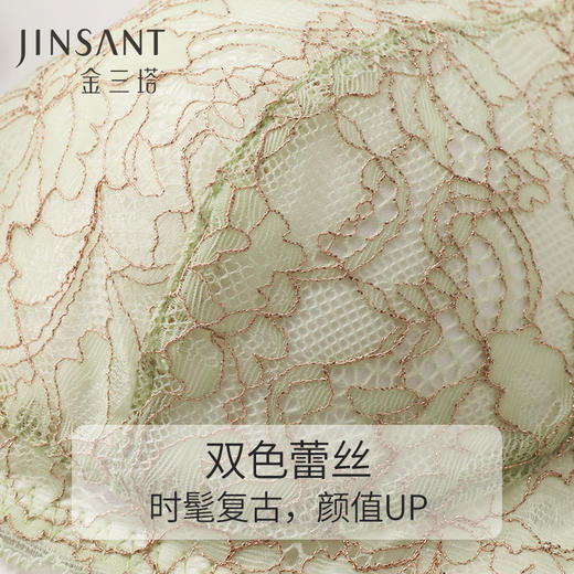 金三塔 女真丝蕾丝无钢圈聚拢文胸NZFCA308 商品图3