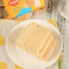 【中欧班列精选】WWJ俄罗斯KDV巧克力坚果青柠奶油炼乳榛子酱风味威化200g/袋 商品缩略图10