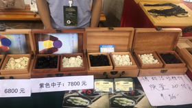 云窑精品亮光型蓝色中子