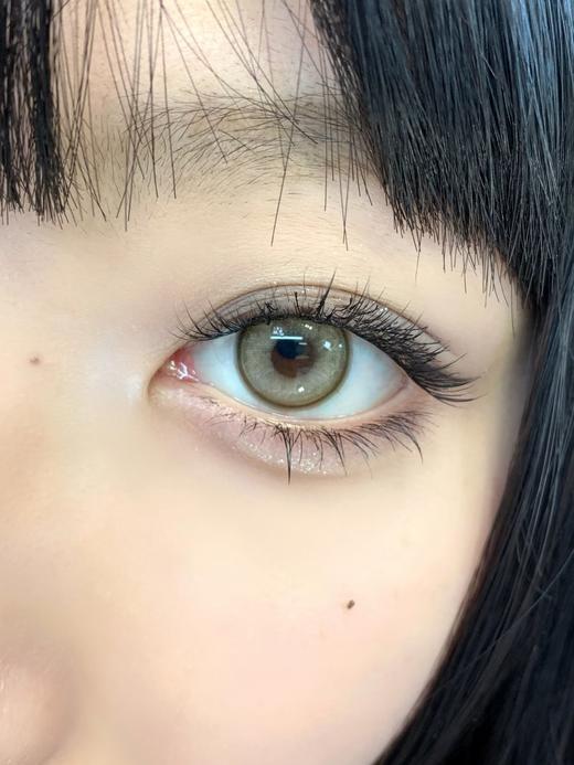 【中直径】Paprikacon-川野麻-14.2mm【年抛 0-800度 无525/575】 商品图8