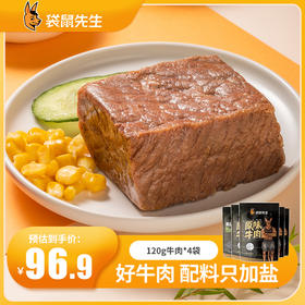 拉丝牛肉块120g*4袋  超大量实惠装