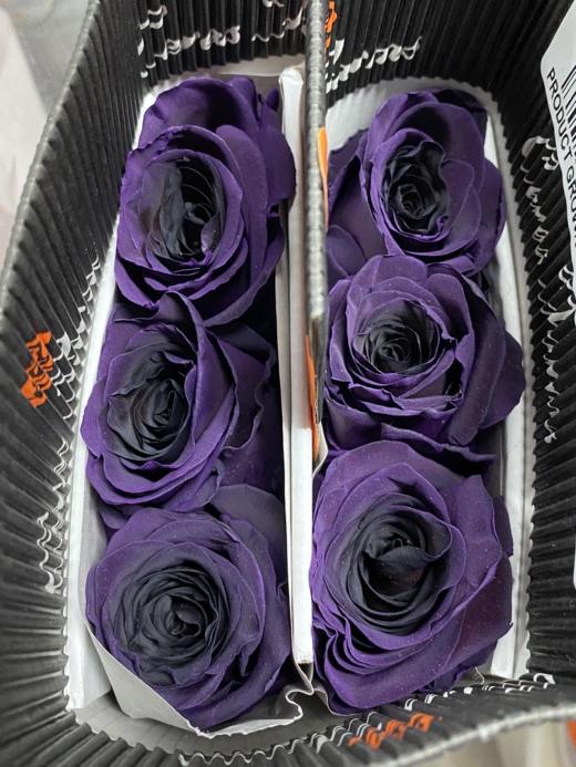 厄瓜多尔玫瑰  梅子水晶  · 花束 商品图1