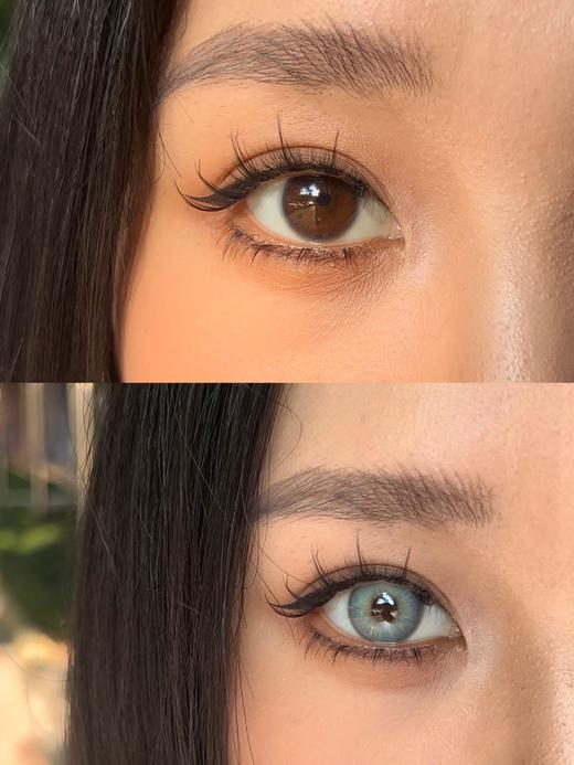 【大直径】Paprikacon-独修女巫-14.5mm【年抛 度数0-800度 无525/575】 商品图11