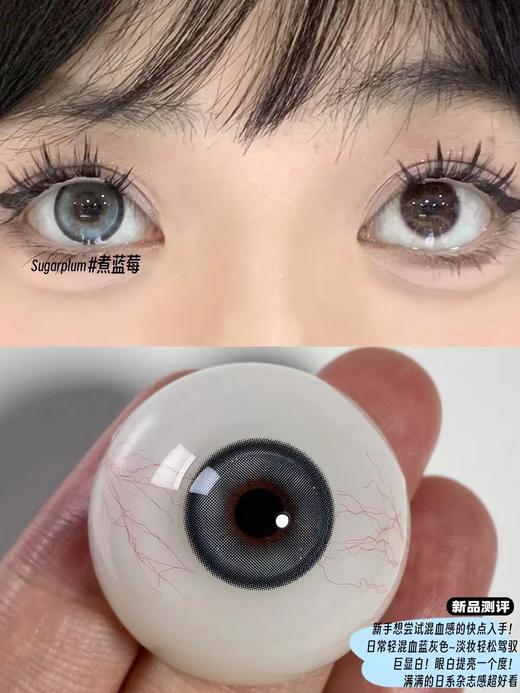 【大直径】Sugarplum-煮蓝莓-14.5mm 【年抛 0-1000度 无525/575】 商品图4