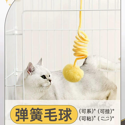 挂门玩具弹簧毛球悬 挂式弹簧逗猫棒自嗨解闷 猫玩具批发 商品图0