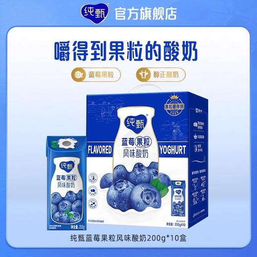 【批发】纯甄蓝莓果粒风味酸奶200g×10盒 商品图0