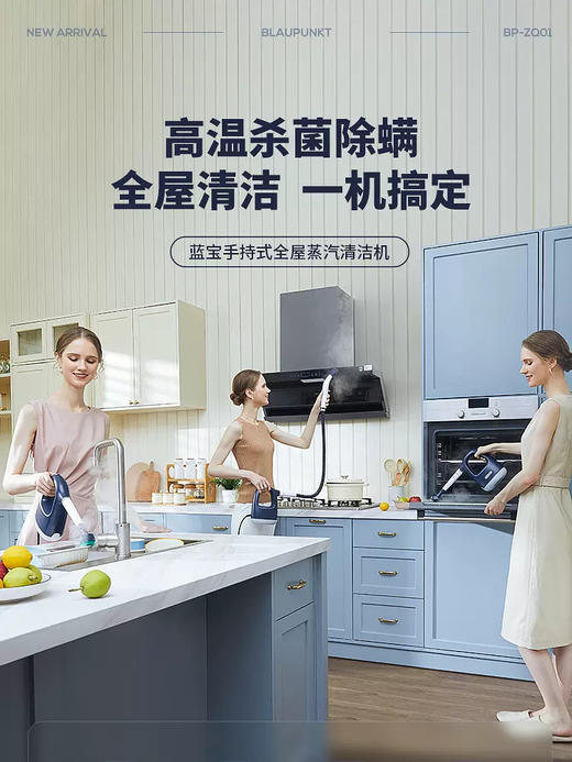 德国蓝宝油污蒸汽清洁机多功能厨房去油污高温高压消毒除螨清洁机 商品图1