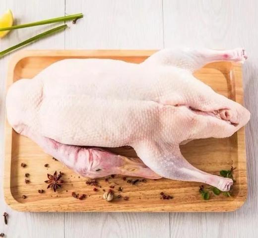 农家散养豚鸭/只（火焰村）（活鸭送货时间推迟一天） 商品图0