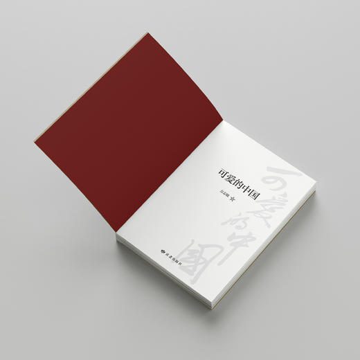 《可爱的中国》 商品图5