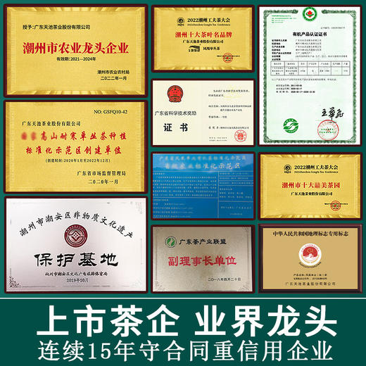 天池单丛鸭屎香  乌岽鸭屎香 凤凰单枞茶 天池单丛七彩系列100g*2 商品图7