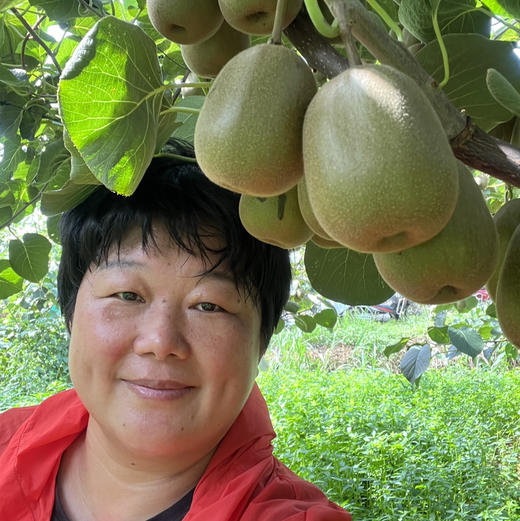 【团购特惠】蒲江红心猕猴桃，您的营养小金库，绿色健康，当季现摘，放到有点软吃，超级美味 商品图1