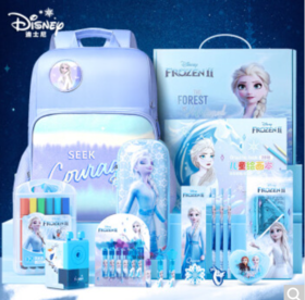 迪士尼(Disney)文具套装 开学礼物小学生书包文具礼盒 开学大礼包儿童生日礼物女孩 冰雪奇缘系列
